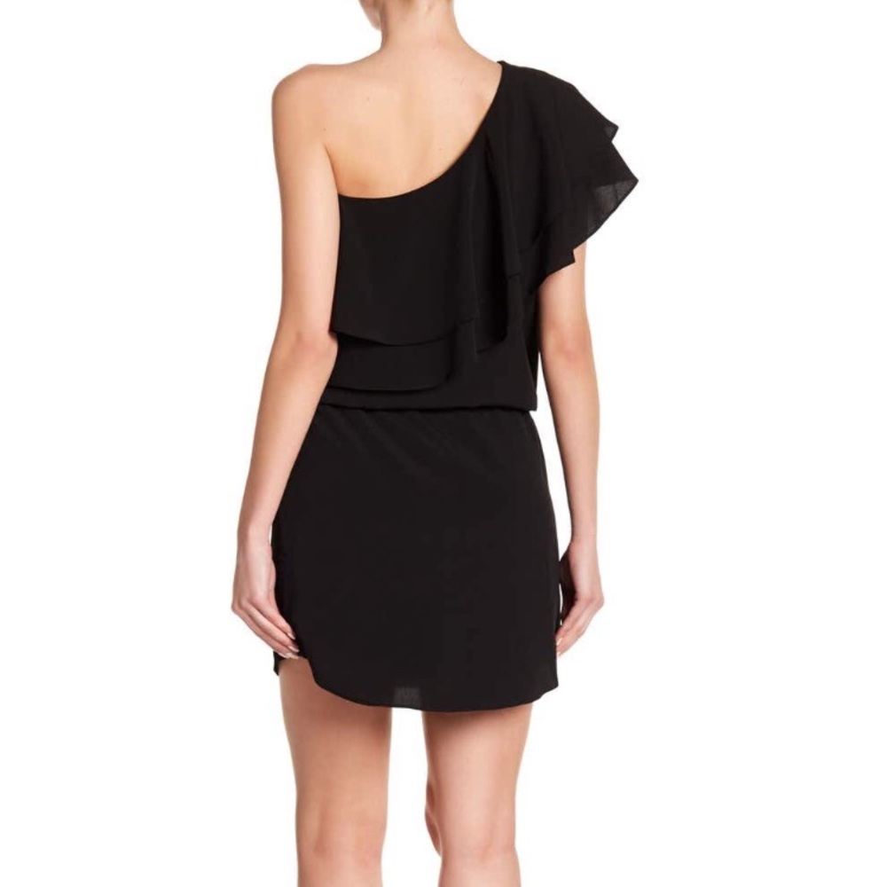 NWT Haute Hippie One Shoulder Ruffle Dress SZ M - Picture 4 of 4